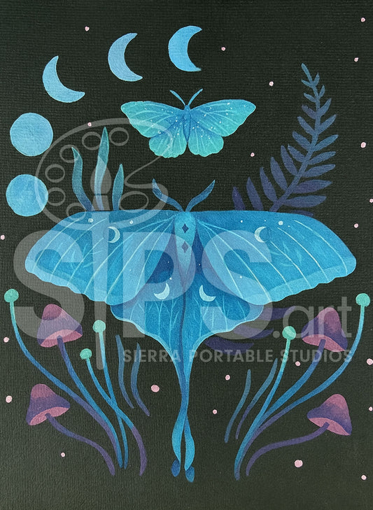 Luna Moth & Moon @ Crooked Lane | Mon. March 9th @ 5:30p