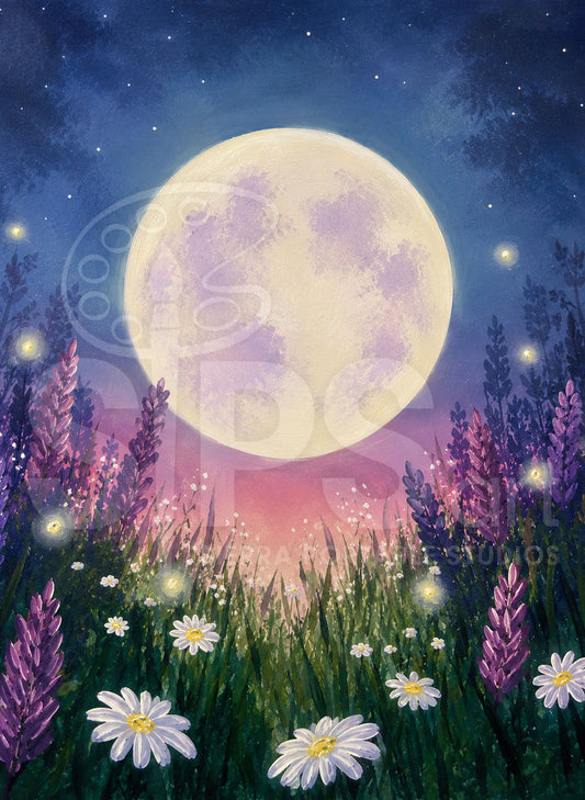 Moonlit Meadow @ Mindscape | Fri. June 19th @ 6pm